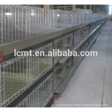 venta caliente jaula de equipo de avicultura